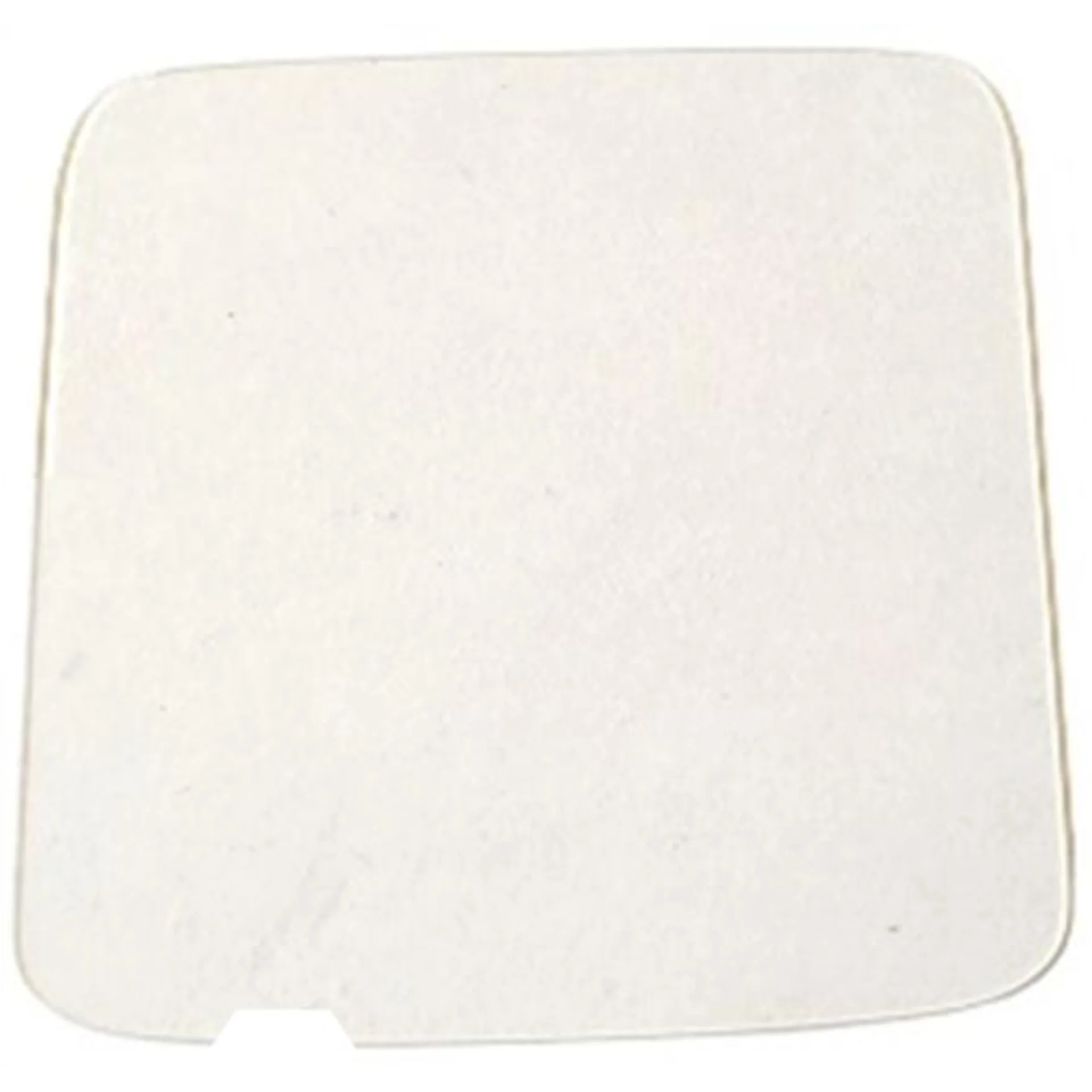 Displayschutzfolie für Wearable Zebra WS301 – rechteckige Folie frontal