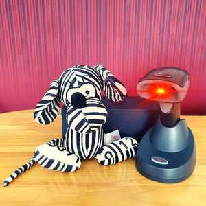 Codie_Scanner Was ist omnidirektionales Scannen?
