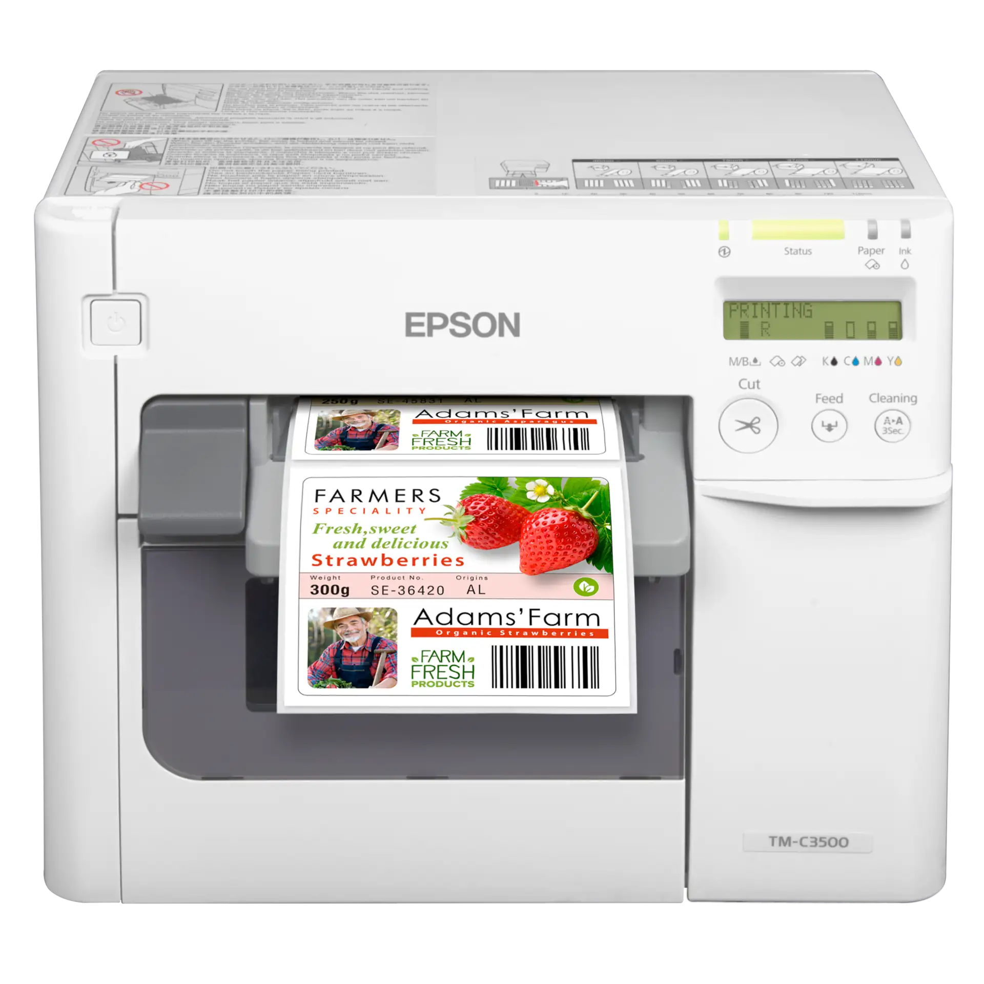 Etikettendrucker Epson ColorWorks C3500