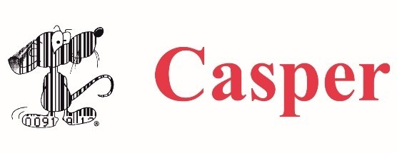 blog-2-casper-logo