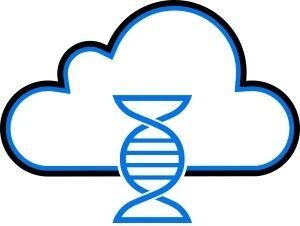 Zebra-DNA-Cloud